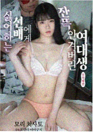 回声档案剧集索引卡片